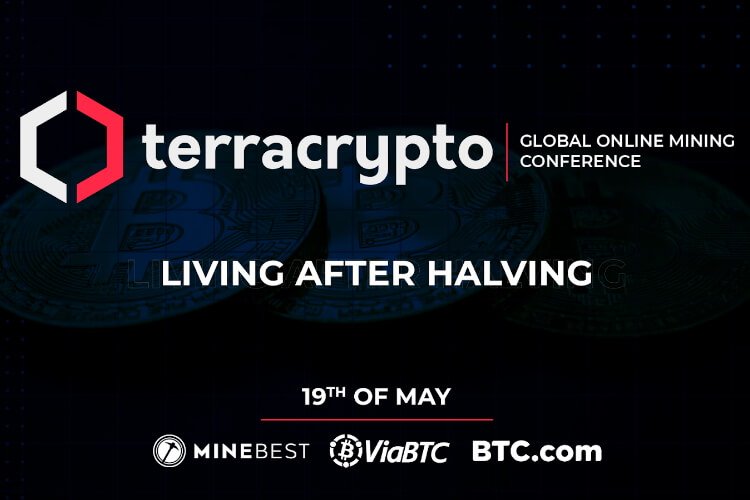 terra crypto news